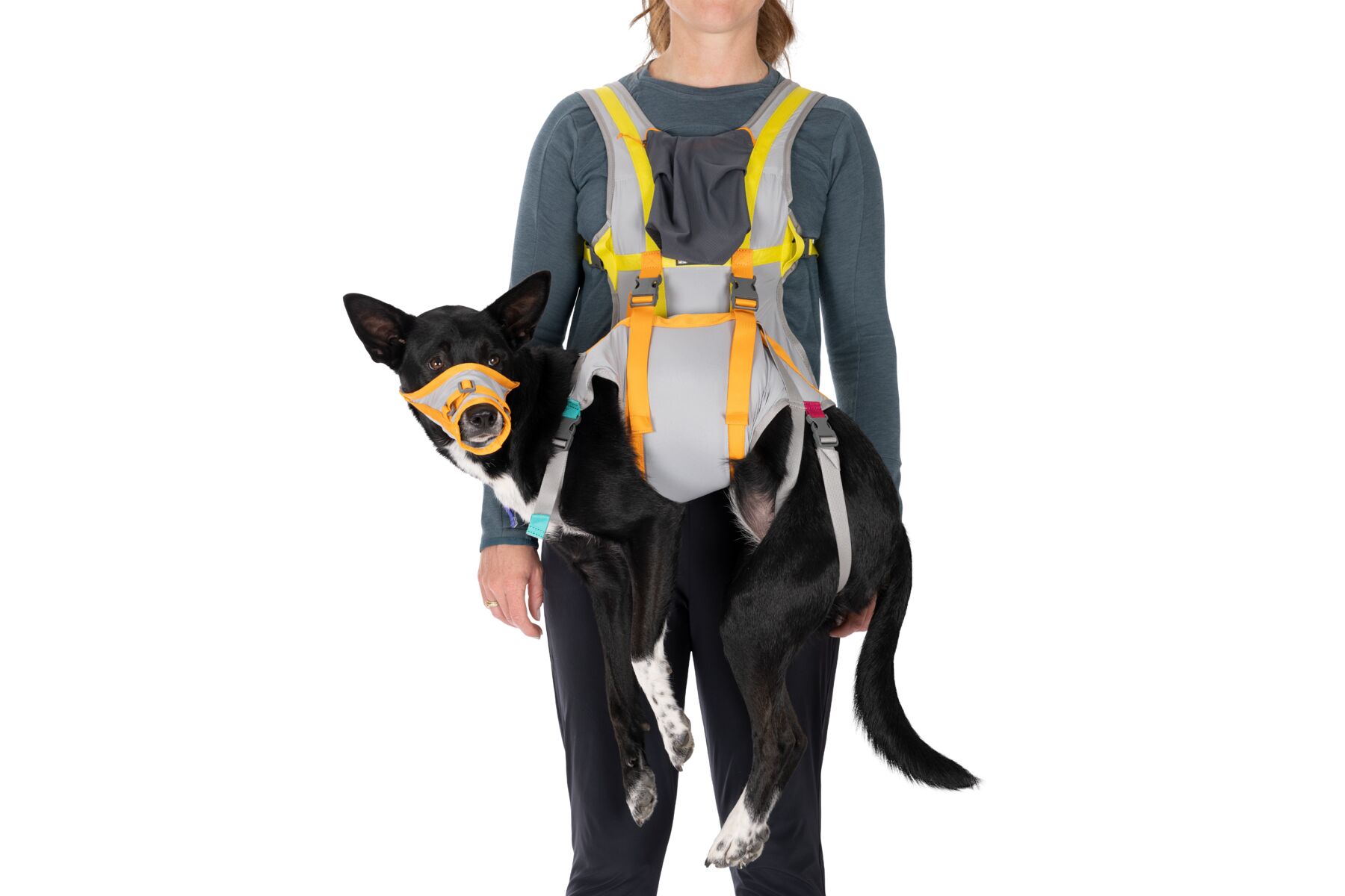 Ruffwear BackTrak™ Dog Evacuation Kit Cloudburst Gray